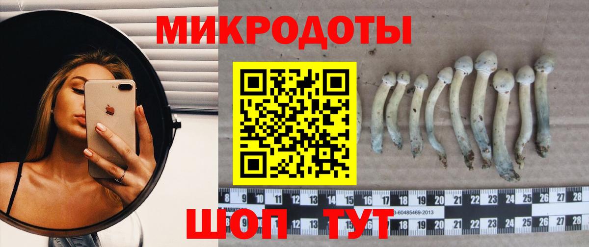 Галлюциногенные грибы Magic Shrooms Алушта