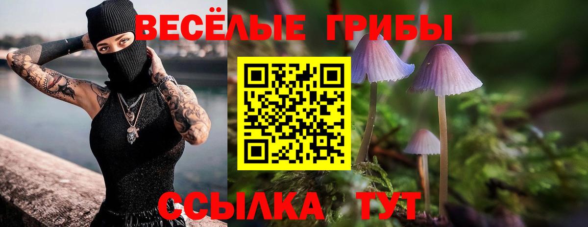Галлюциногенные грибы Psilocybine cubensis  Псилоцибиновые грибы прущие грибы  Вход с VPN  Алушта 
